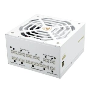 Cougar Fuente Alimentación GR 1000 Snow 80+ Gold